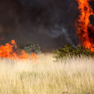 Fire Alt